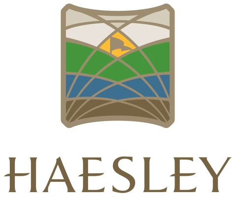Haesley Nine Bridges