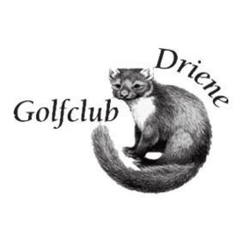 Golfclub Driene