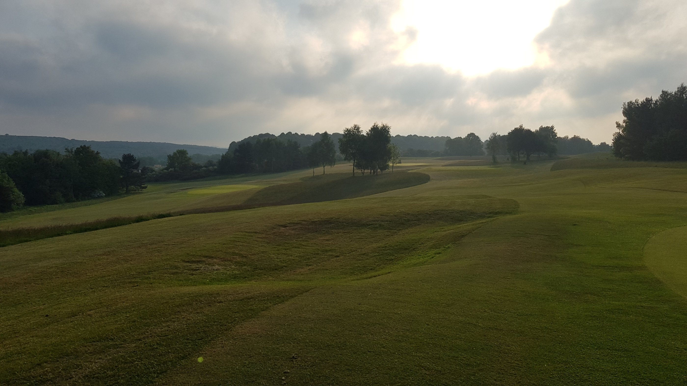 Deep rough management provides benefits to golf and nature | GEO Foundation