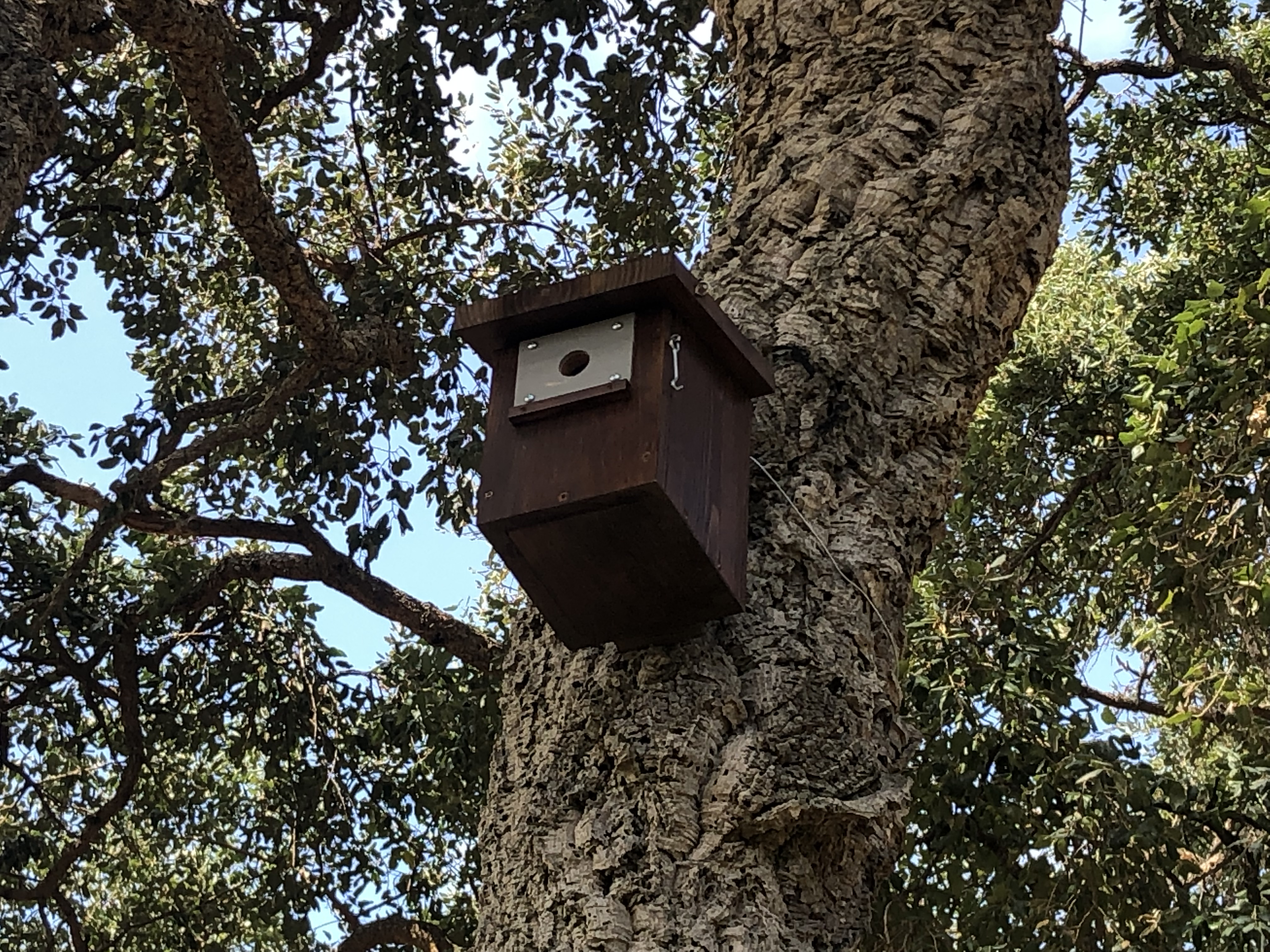 Installing bird boxes to promote presence of birds and reduce ...