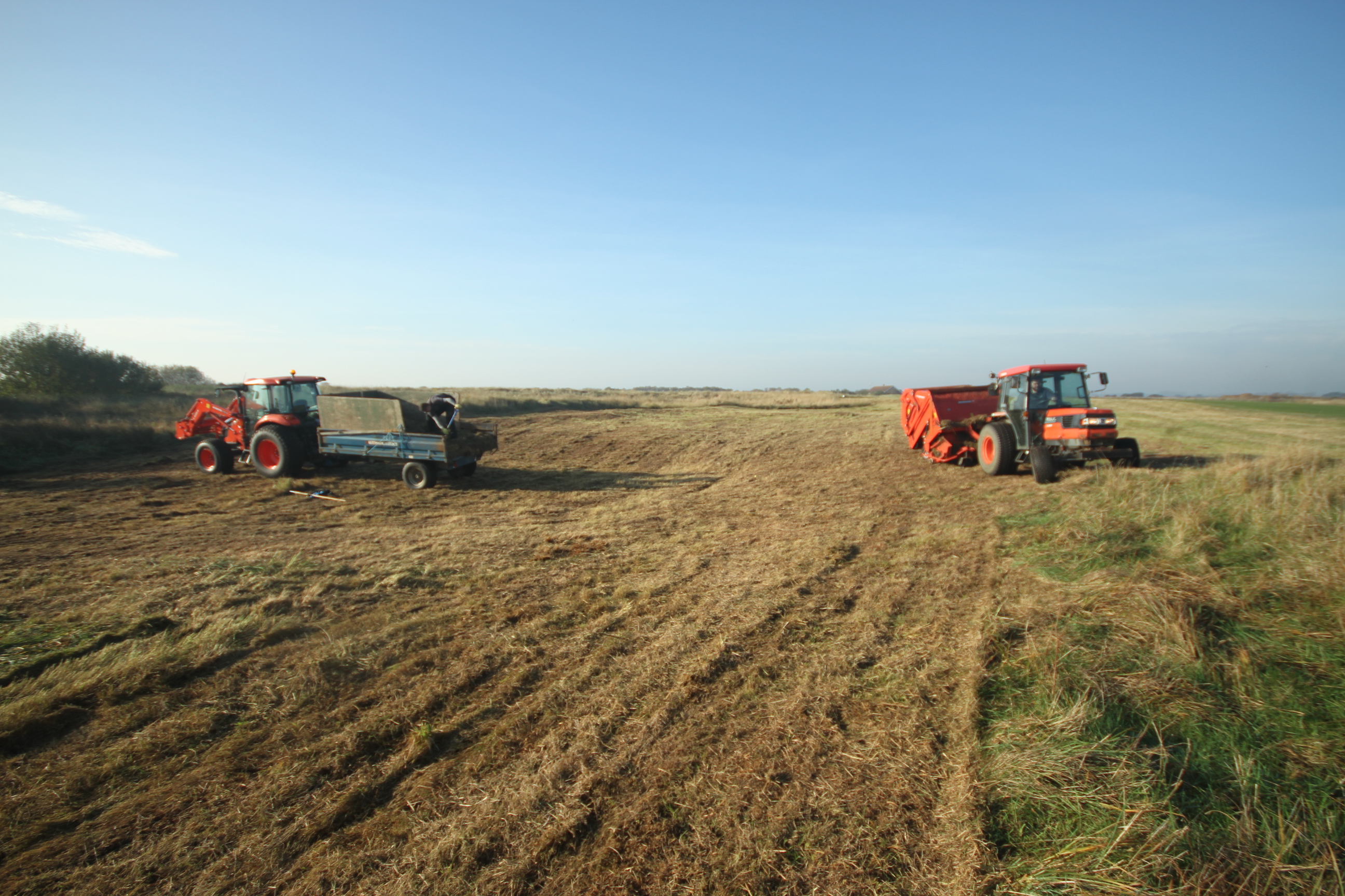 Maintaining dune grasslands which attract birds and flora | GEO Foundation