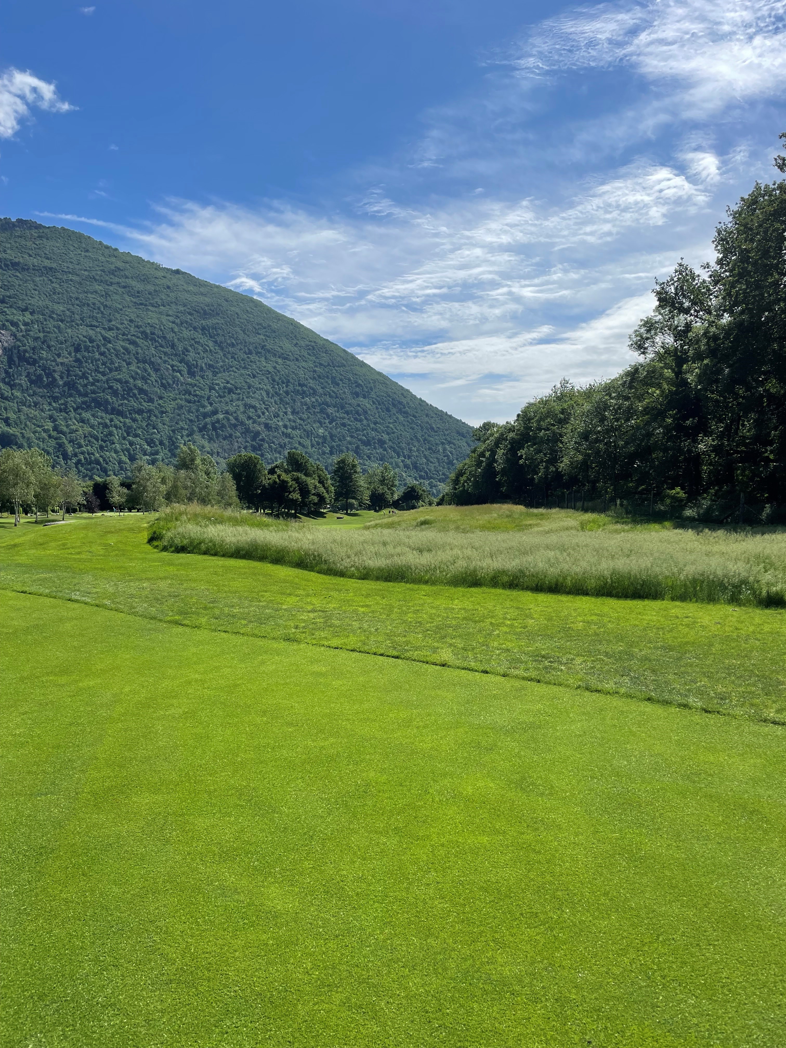Native Rough Golf Course 1.5 hectares of new naturalised areas | GEO Foundation for Sustainable Golf