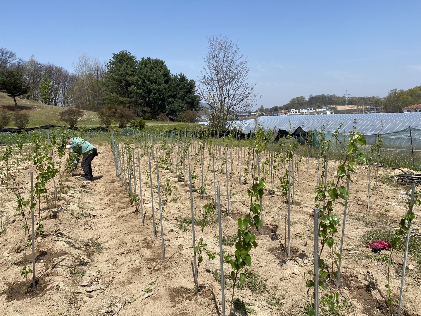 Tree Lot Making Implementation of ESG management by planting trees within vacant lots ...