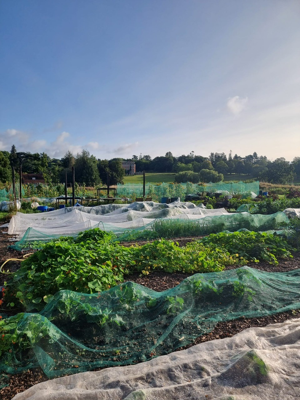 Creation of a kitchen garden | GEO Foundation for Sustainable Golf