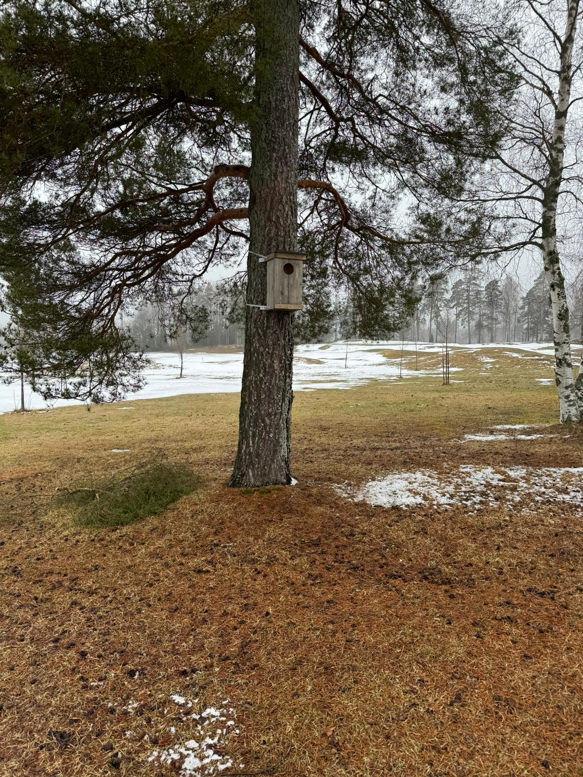 Enhancing avian habitats through new birdhouses | GEO Foundation for ... - Unique Avian Housing Solutions