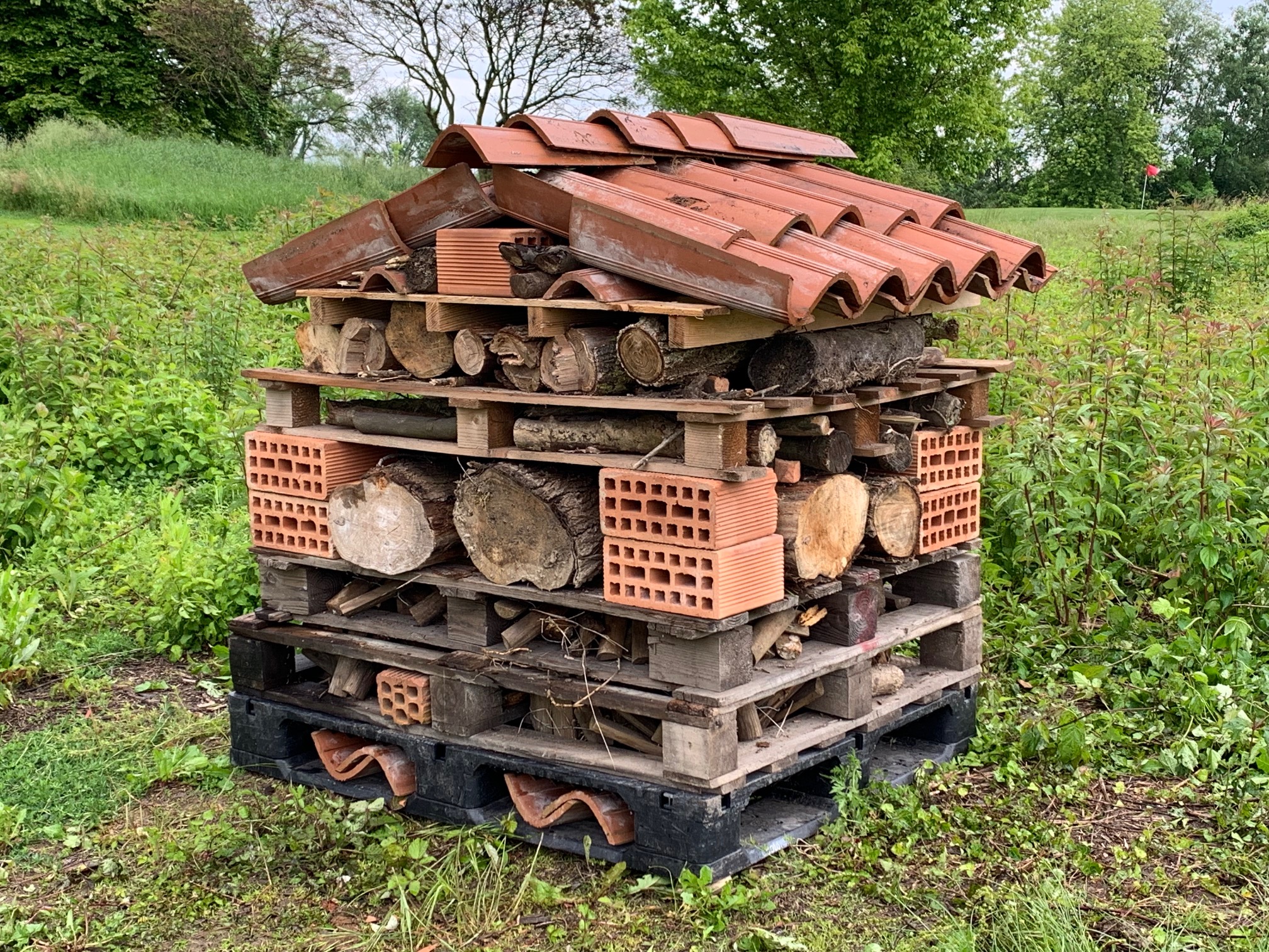 House Up Insect Upcycled Insect houses for pollinators | GEO Foundation for Sustainable ...
